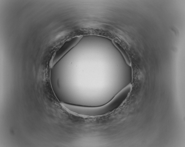 X0000110910965200906181340