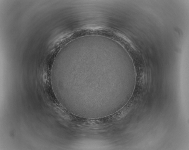 X0000110910966200906181340