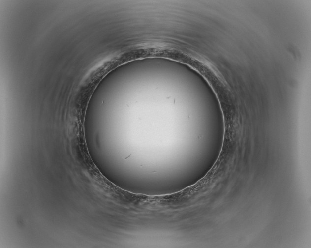 X0000110910967200906181340