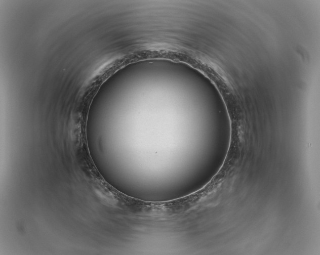 X0000110910968200906181340