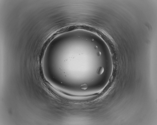 X0000110910969200906181340