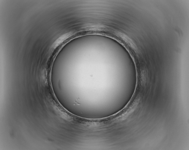 X0000110910970200906181340