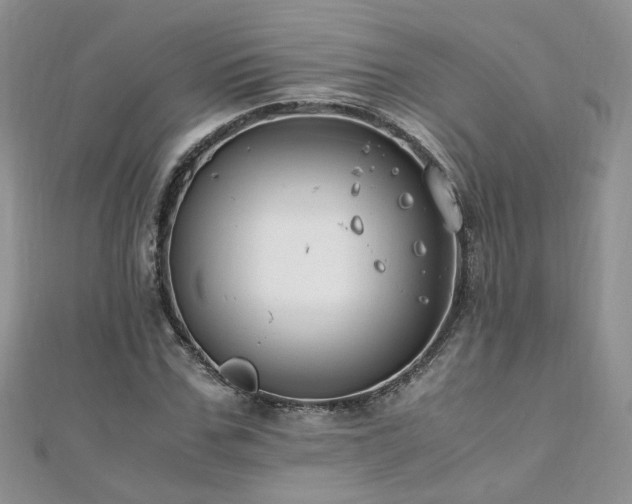 X0000110910971200906181340