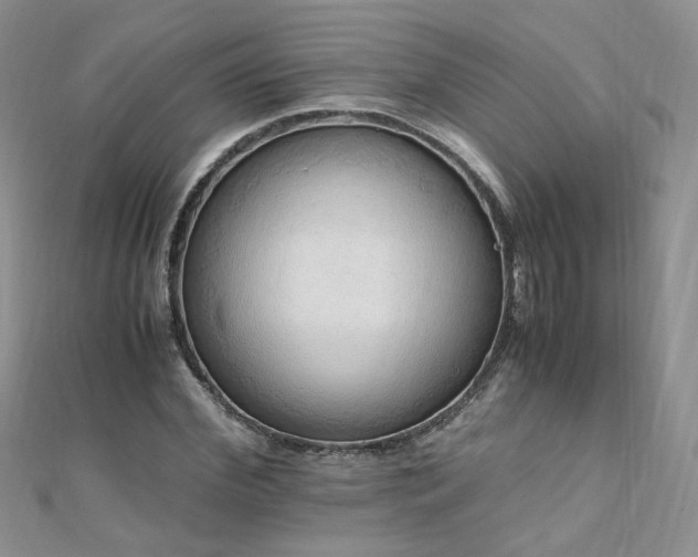 X0000110910972200906181340