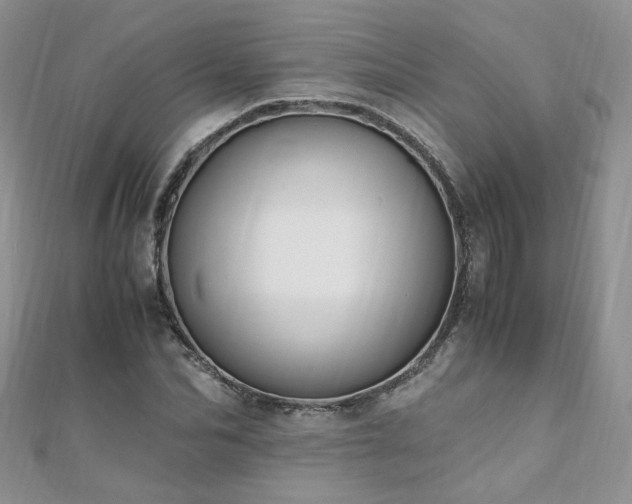 X0000110910974200906181340