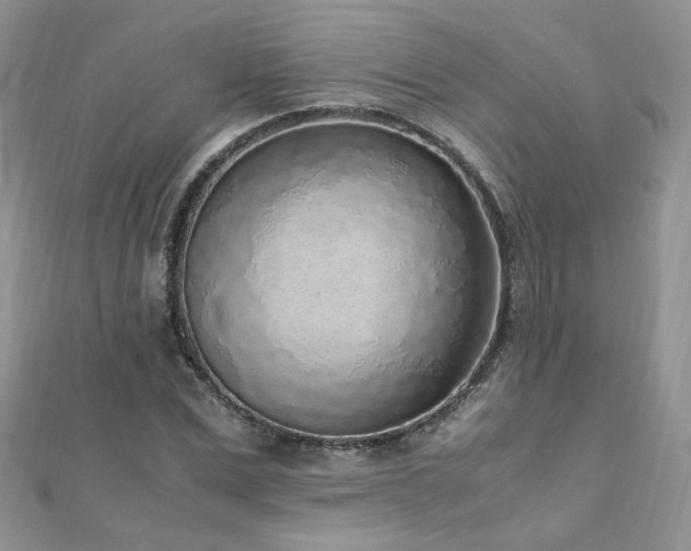 X0000110910975200906181340