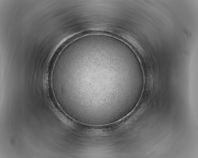 X0000110910976200906181340