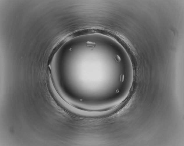 X0000110910977200906181340