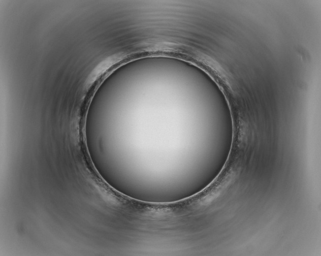 X0000110910978200906181340