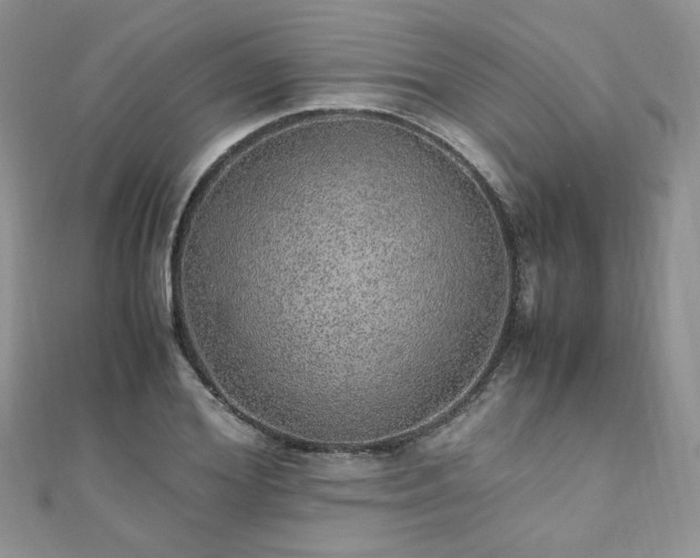 X0000110910980200906181340