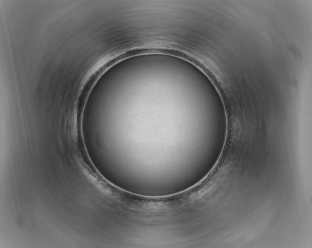 X0000110910982200906181339