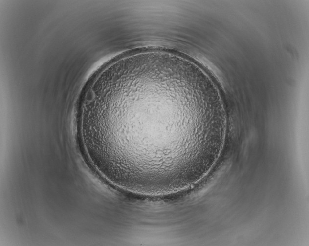 X0000110910983200906181339