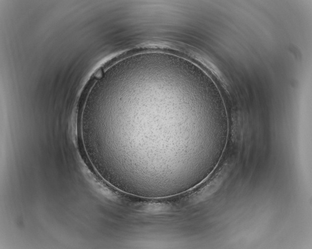 X0000110910984200906181339