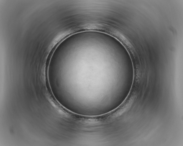 X0000110910986200906181339