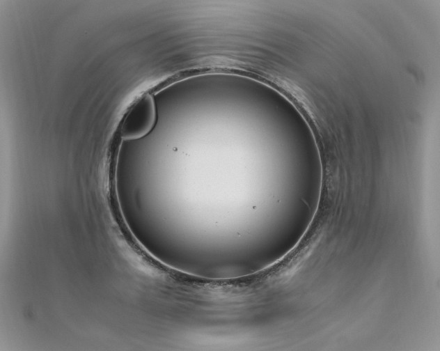 X0000110910987200906181339