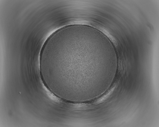 X0000110910988200906181339