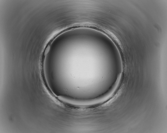 X0000110910989200906181339