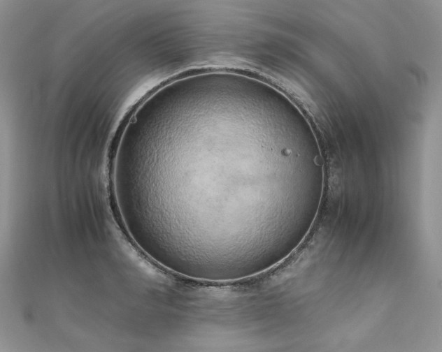 X0000110910990200906181339