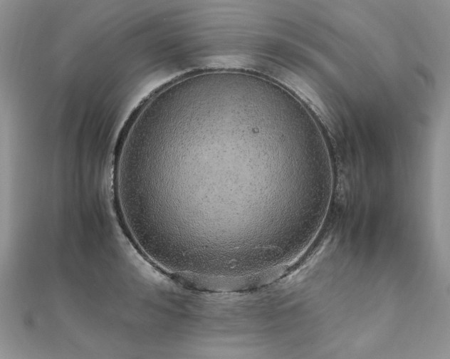 X0000110910992200906181339