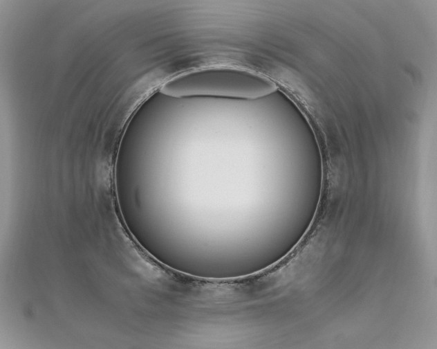 X0000110910993200906181339