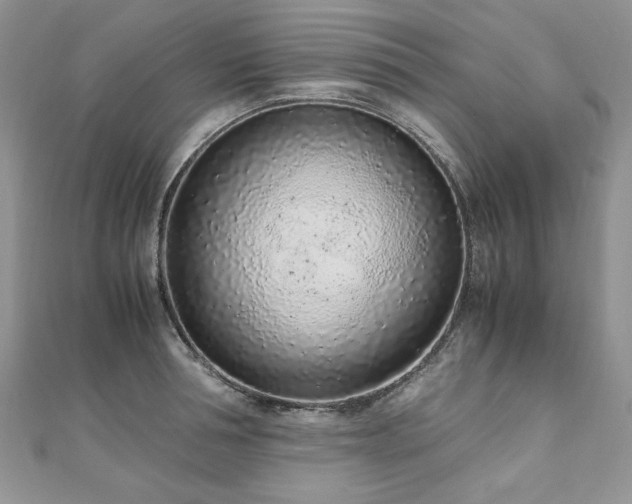 X0000110910994200906181339