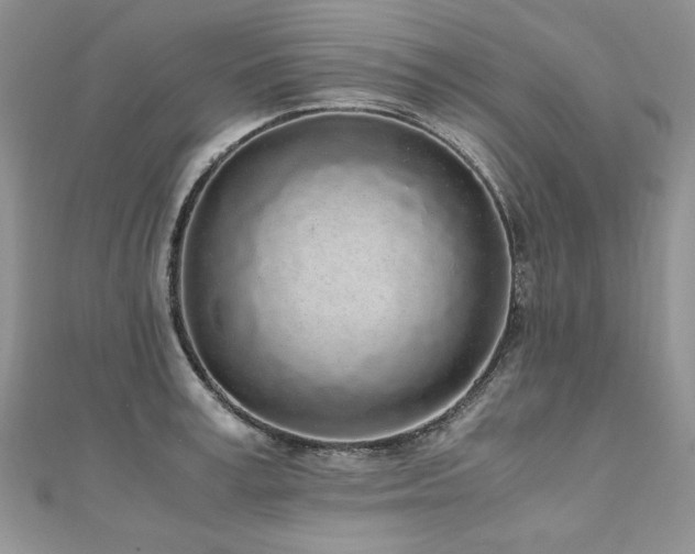 X0000110910995200906181339