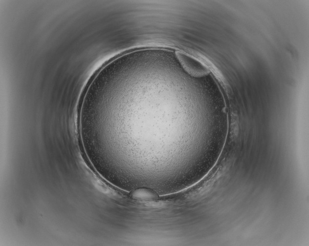 X0000110910996200906181339