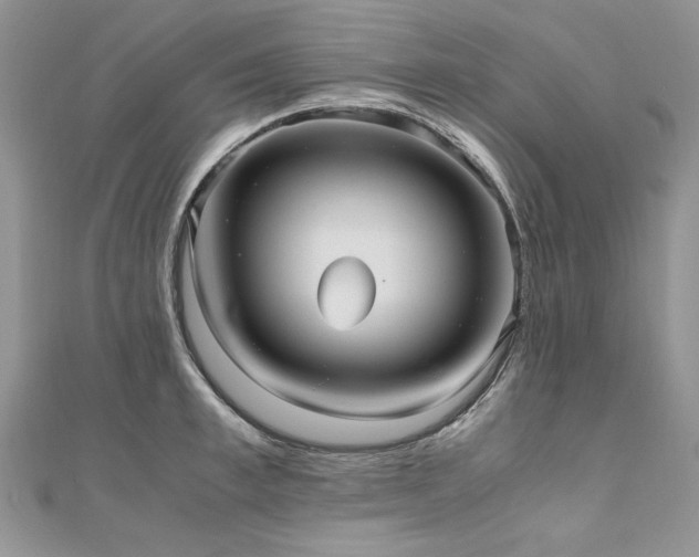 X0000110910997200906181339