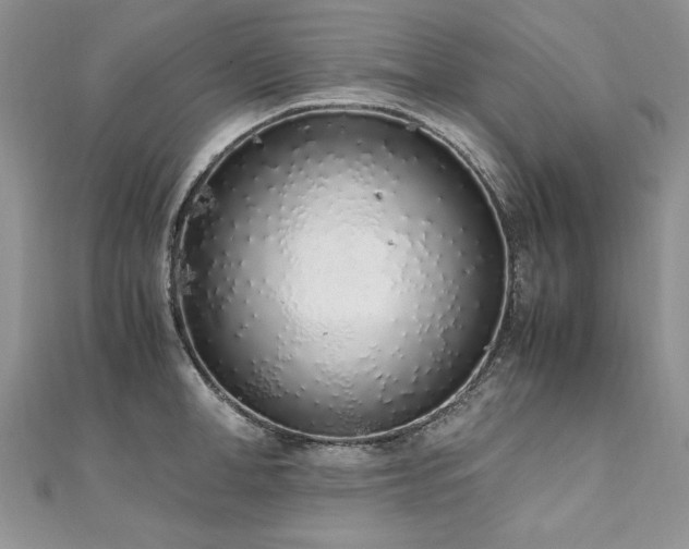 X0000110910998200906181339