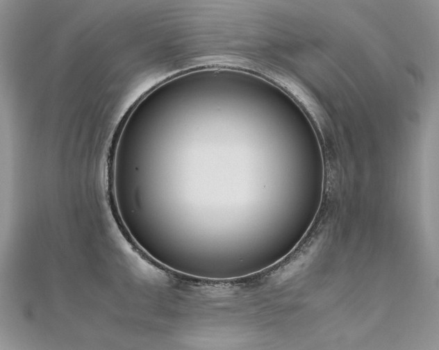 X0000110910999200906181339