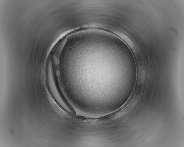 X0000110911000200906181339