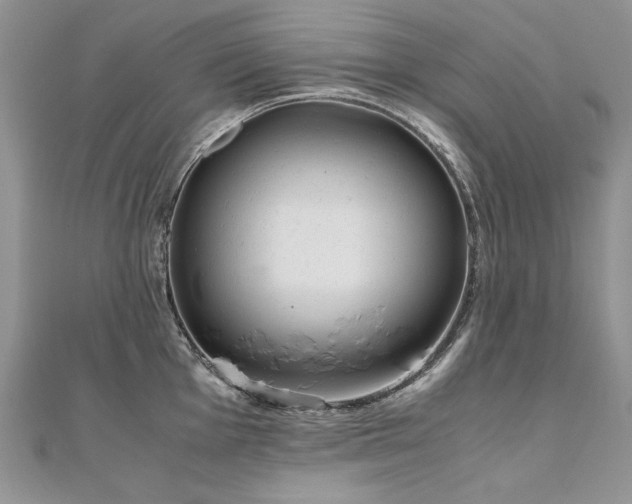 X0000110911001200906181339