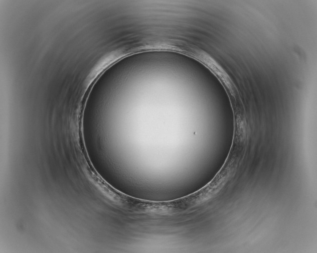 X0000110911002200906181339