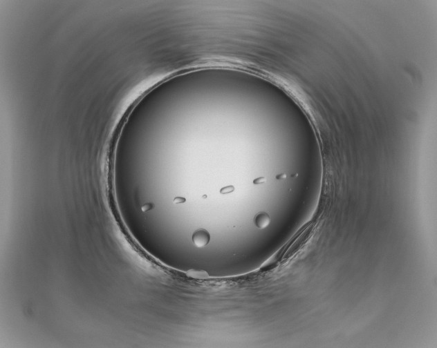 X0000110911003200906181339