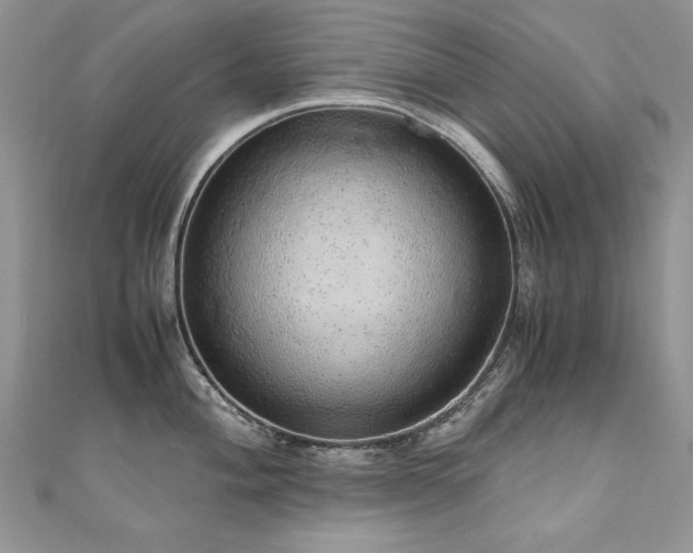 X0000110911004200906181339