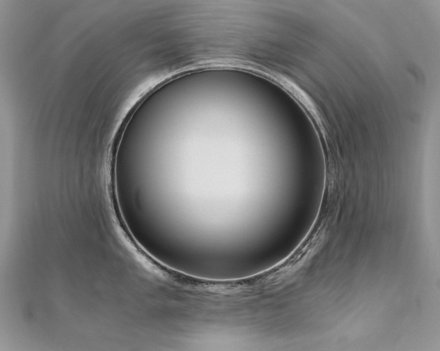 X0000110911005200906181339