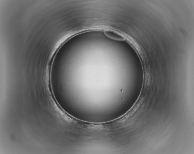 X0000110911006200906181339