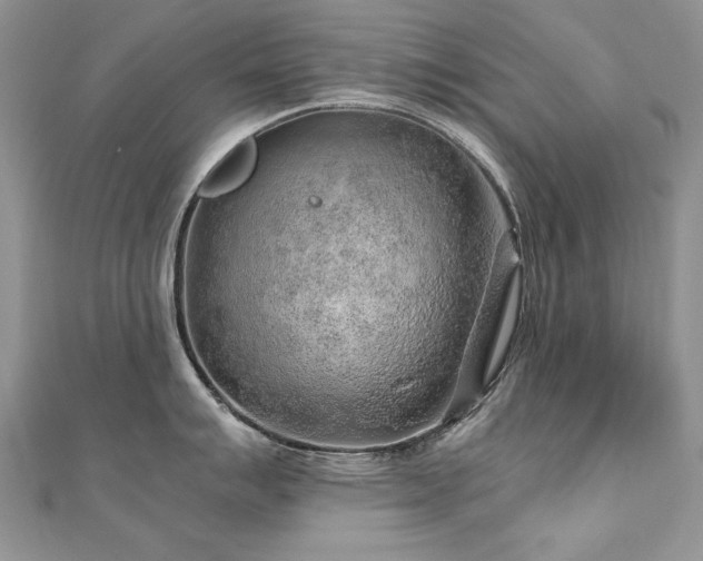 X0000110911007200906181339