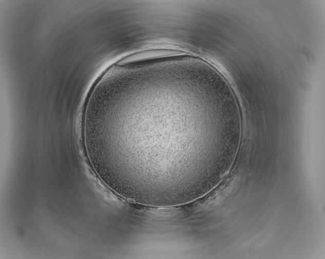 X0000110911008200906181339