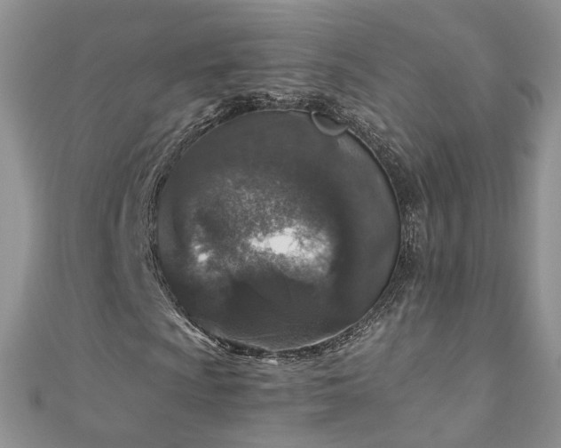 X0000110911009200906181338