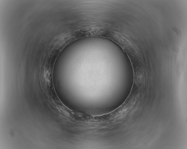 X0000110911010200906181338