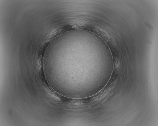 X0000110911012200906181338