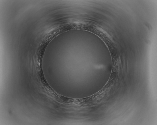 X0000110911013200906181338