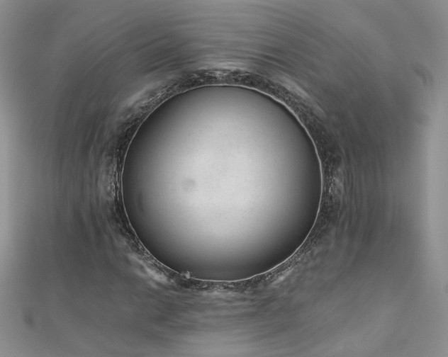 X0000110911014200906181338