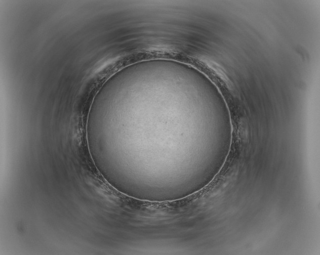 X0000110911015200906181338