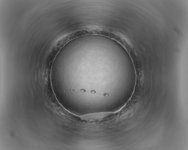 X0000110911016200906181338