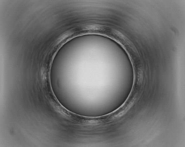 X0000110911017200906181338