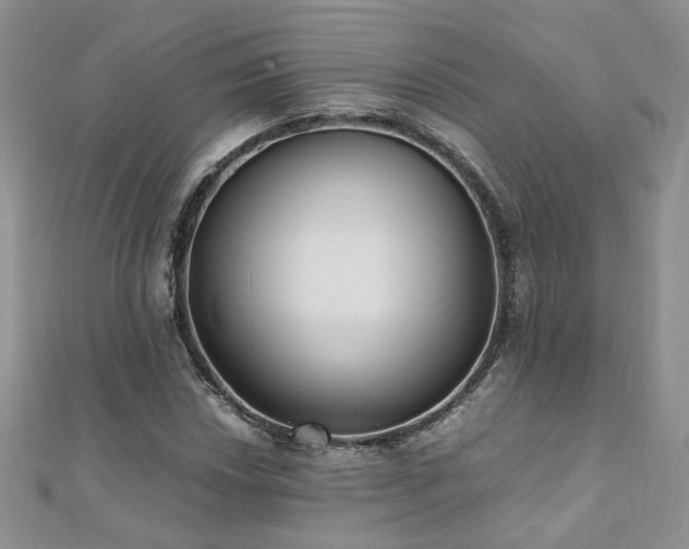 X0000110911018200906181338