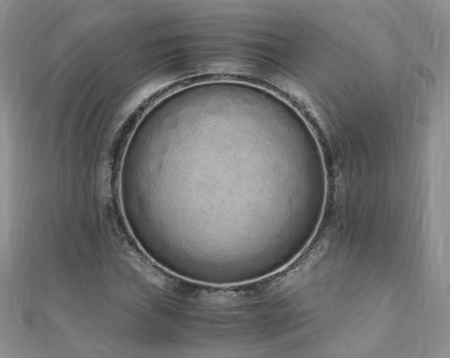 X0000110911019200906181338