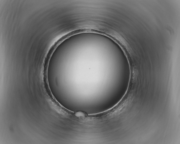 X0000110911020200906181338